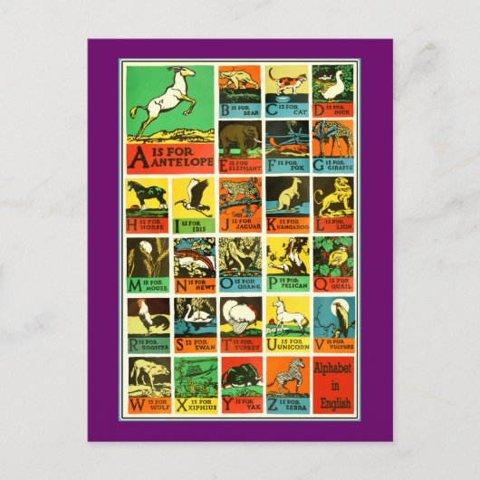 動物abcのアルファベットの図表の先生および学習者 ポストカード (正面)