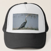 動物Anhinga キャップ (正面)