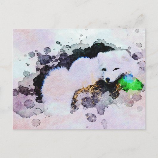 *~*動物AP18雪上キツネ白北極キツネ ポストカード (正面)