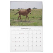 動物Calander カレンダー (2月 2027)