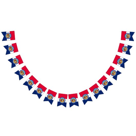 動的ミズーリ州旗のグラフィック バンティングフラッグ (全)