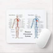動脈および静脈の人間の循環系 マウスパッド (マウス)
