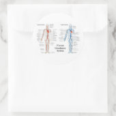 動脈と静脈のヒト循環系 ラウンドシール (バッグ)