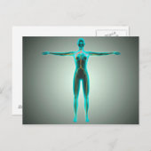 動脈と静脈を持つ女性体の解剖学 ポストカード (正面/裏面)