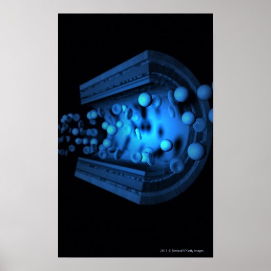 動脈の血球のビューを切り取る ポスター (正面)