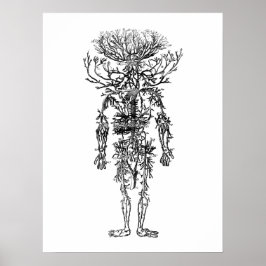 動脈ヒト解剖学ヴィンテージ ポスター