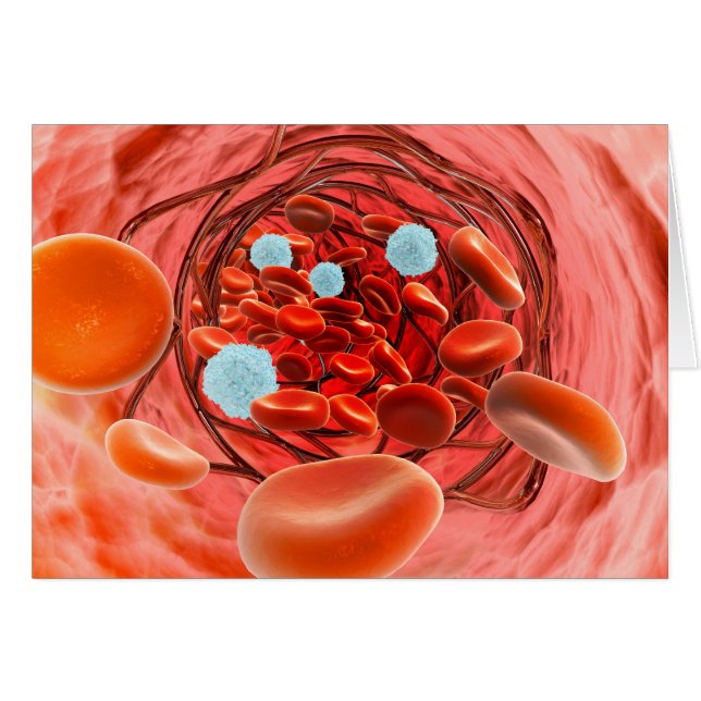 動脈内の血流の顕微鏡的見解 (正面横)