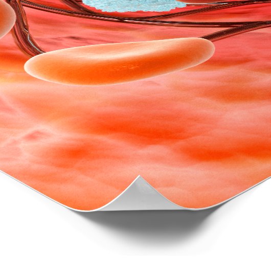 動脈内の血流の顕微鏡的見解 ポスター (角)