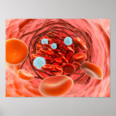 動脈内の血流の顕微鏡的見解 ポスター (正面)