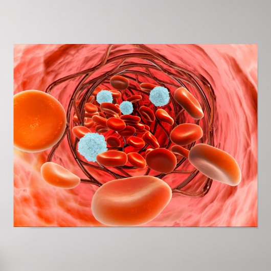 動脈内の血流の顕微鏡的見解 ポスター (正面)