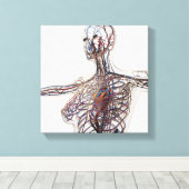 動脈・静脈・リンパ系1 キャンバスプリント (インサイチュ (ウッドフロア))