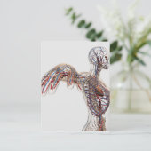 動脈・静脈・リンパ系2 ポストカード (スタンド正面)