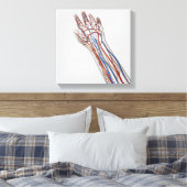 動脈・静脈・リンパ系3 キャンバスプリント (インサイチュ (寝室))