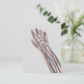 動脈・静脈・リンパ系3 ポストカード (スタンド正面)