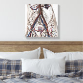 動脈・静脈・リンパ系4 キャンバスプリント (インサイチュ (寝室))