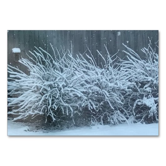 動詞は藤を雪読降り、大人のフラッシュカード テーブルナンバー (正面)