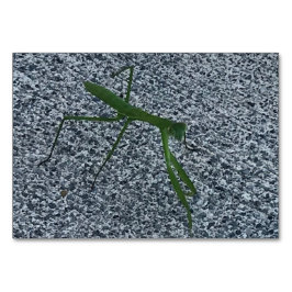 動詞、マンテ祈ス歩く、のフラ読ッシュカード テーブルナンバー