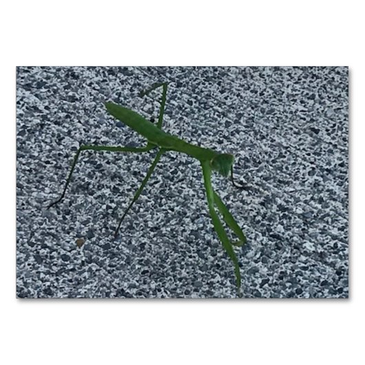 動詞、マンテ祈ス歩く、のフラ読ッシュカード テーブルナンバー (正面)