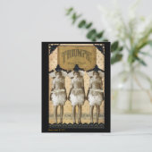 勝ち誇ったはがき ポストカード (スタンド正面)