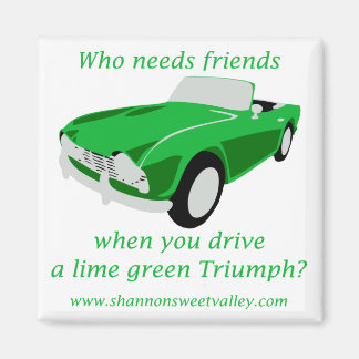 勝利の磁石広場 マグネット