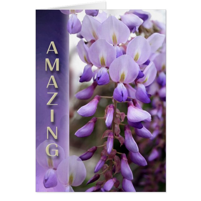 勝利は前方にあります (正面)