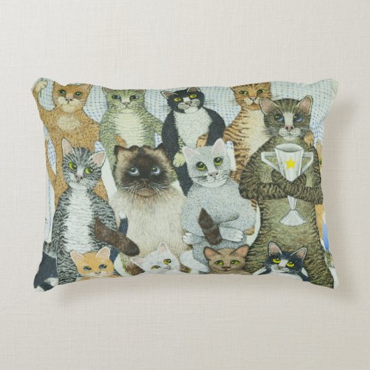 勝利方法 アクセントクッション (正面)