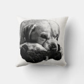 勝利静か クッション (裏面)