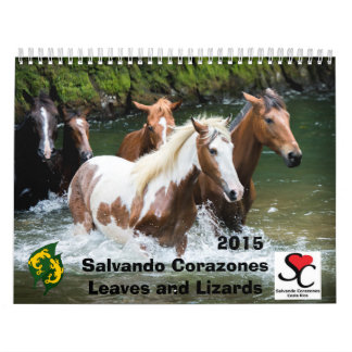募金活動のカレンダーSalvando Corazones 2015年 カレンダー