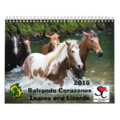 募金活動のカレンダーSalvando Corazones 2015年 カレンダー (カバー)