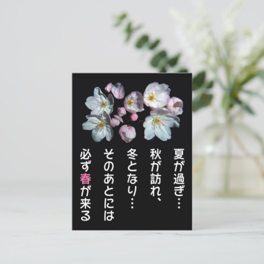 募金用さくらんぼ花桜 ポストカード (スタンド正面)