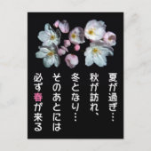 募金用さくらんぼ花桜 ポストカード (正面)