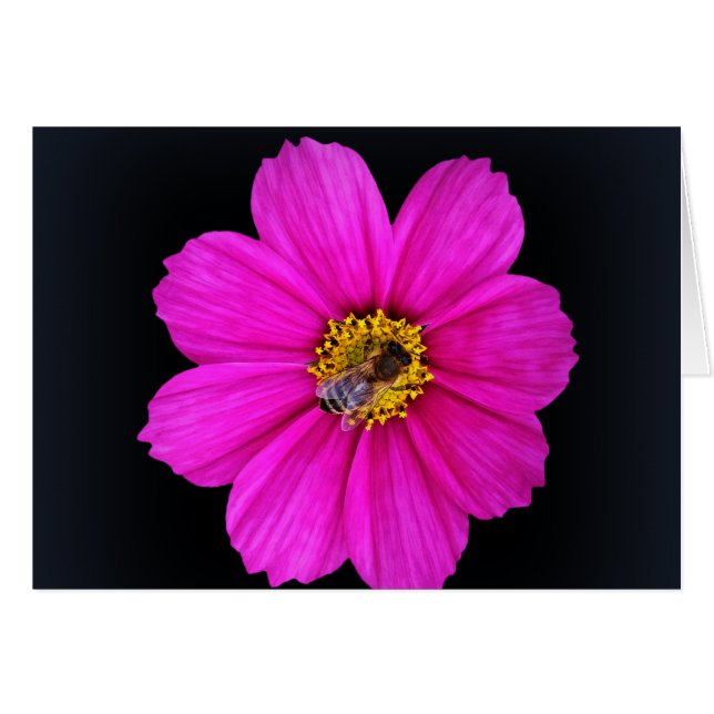 勤勉なミツバチ (正面横)