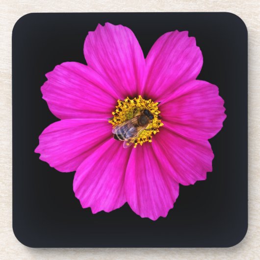 勤勉なミツバチ コースター (正面)