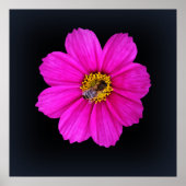 勤勉なミツバチ ポスター (正面)