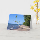 勤勉に-聖なる書物、経典の挨拶状追求します カード (黄色い花)