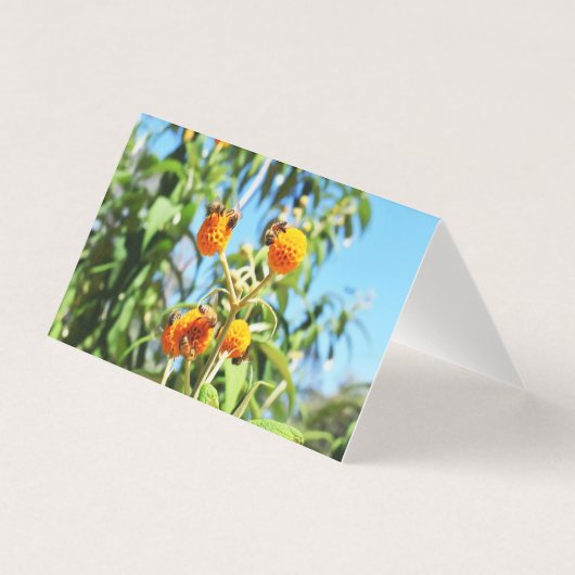 勤務中のハチ空白ののグリーティングカード (正面)