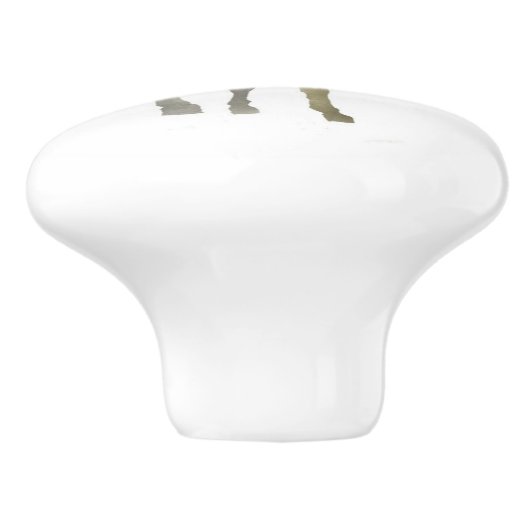 勾配のろばの引出しの引き セラミックノブ (側面)