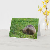 匂いはお誕生日ケーキ? カード (黄色い花)