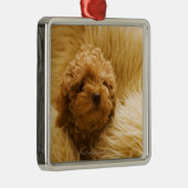 包まれたなプードル メタルオーナメント (右)