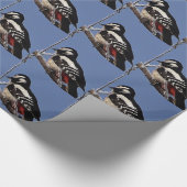 包装紙のキツツキ ラッピングペーパー (角)