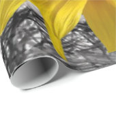 包装紙ひまわり ラッピングペーパー (ロールコーナー)