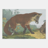 包装紙フラットシートセット3 ラッピングペーパーシート (正面3)