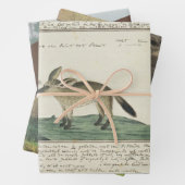 包装紙フラットシートセット3 ラッピングペーパーシート (インサイチュ)