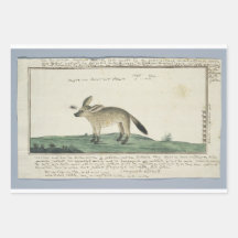 包装紙フラットシートセット3