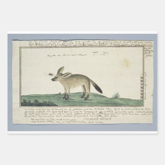 包装紙フラットシートセット3 ラッピングペーパーシート (正面)