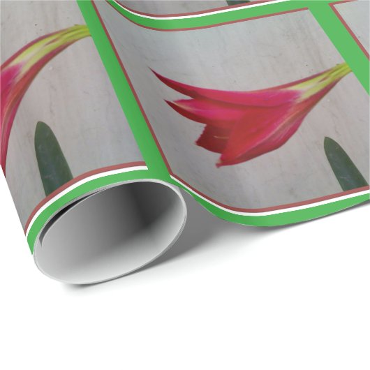 包装紙 (ロールコーナー)