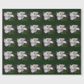 包装紙 – 南マグノリアブロッサムII (フラット)