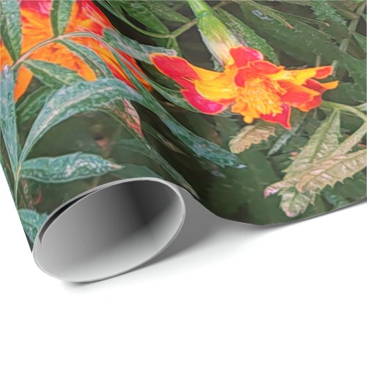 包装紙 – 洗礼  (ロールコーナー)