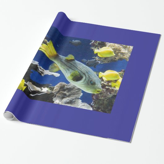 包装紙，海下，魚 ラッピングペーパー (アンロールド)