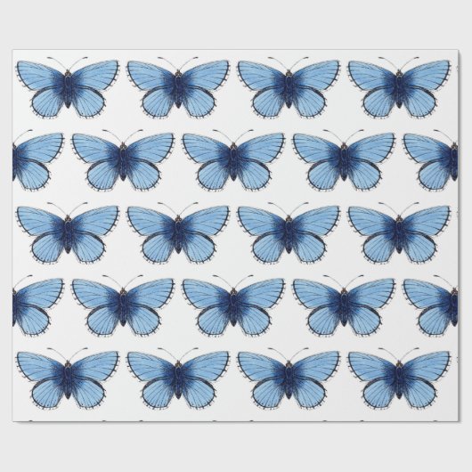 包装紙 - 青い蝶 (フラット)